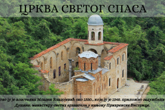 СВЕТОСАВСКА АКАДЕМИЈА - 26