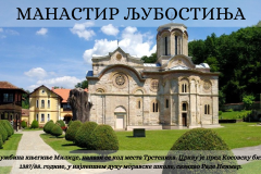 СВЕТОСАВСКА АКАДЕМИЈА - 31